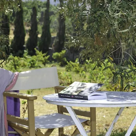 Homz Hh01 * Apollonia (Sifnos)